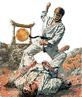Dojo