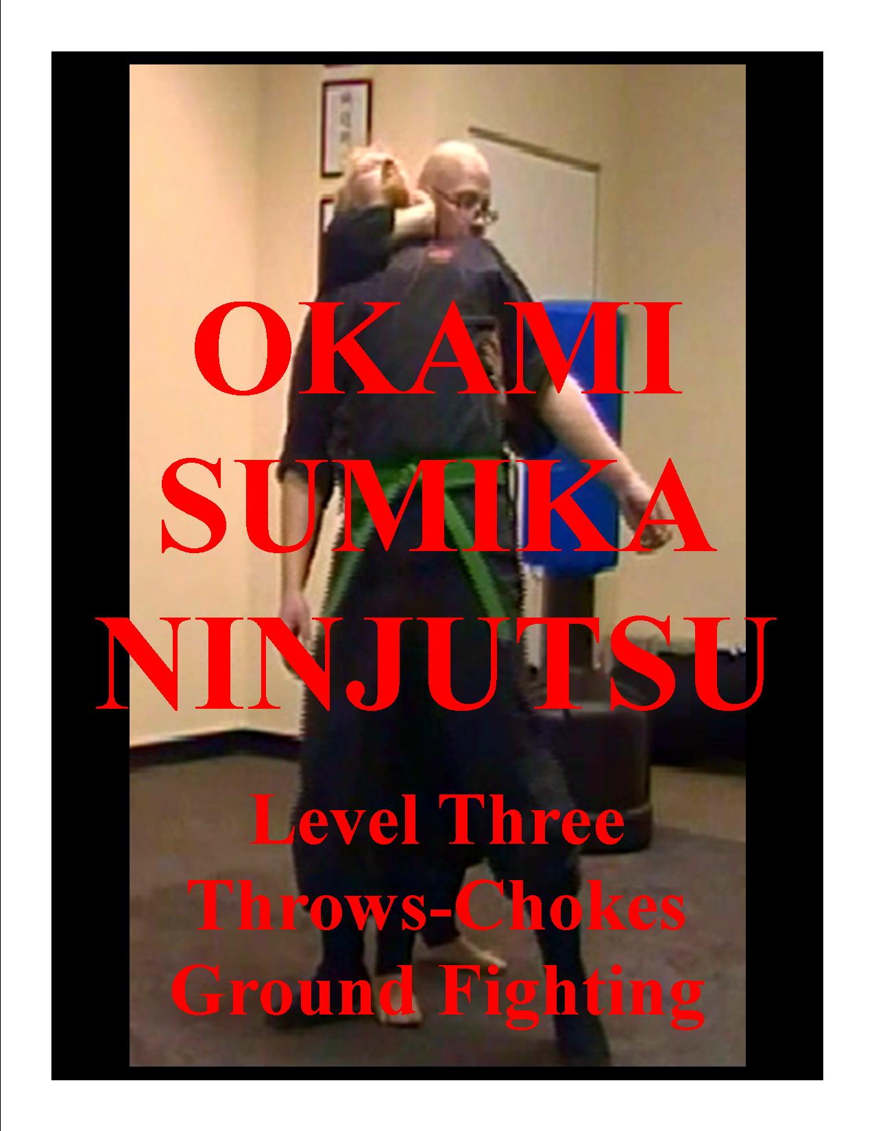 OKAMI SUMIKA NINJITSU-LEVEL 3