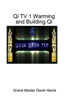 QI TV #1 WARMING AND BUILDING QI