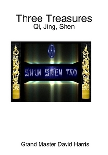 THE THREE TREASURES-QI, JING, SHEN