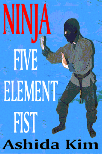 Ninja Five Element Fist